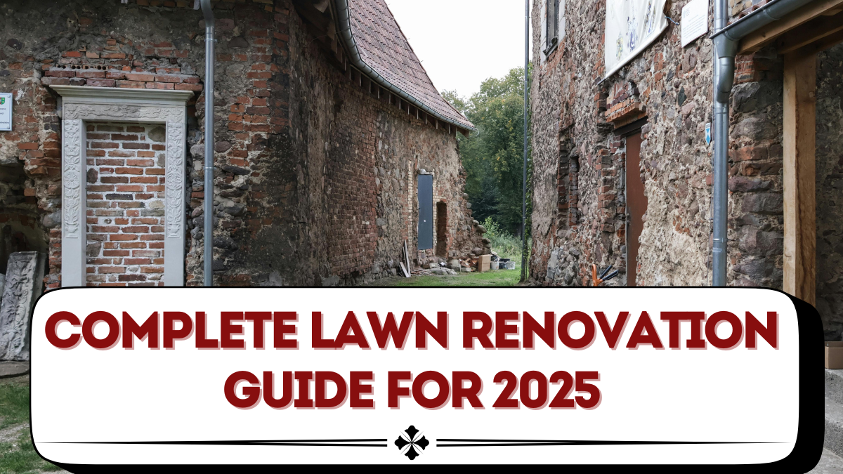 Complete Lawn Renovation Guide for 2025