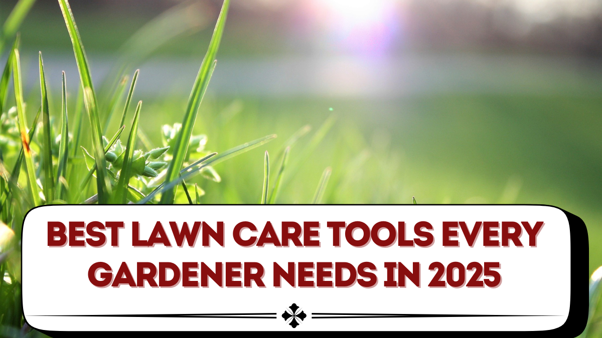 Best Lawn Care Tools Every Gardener Needs in 2025