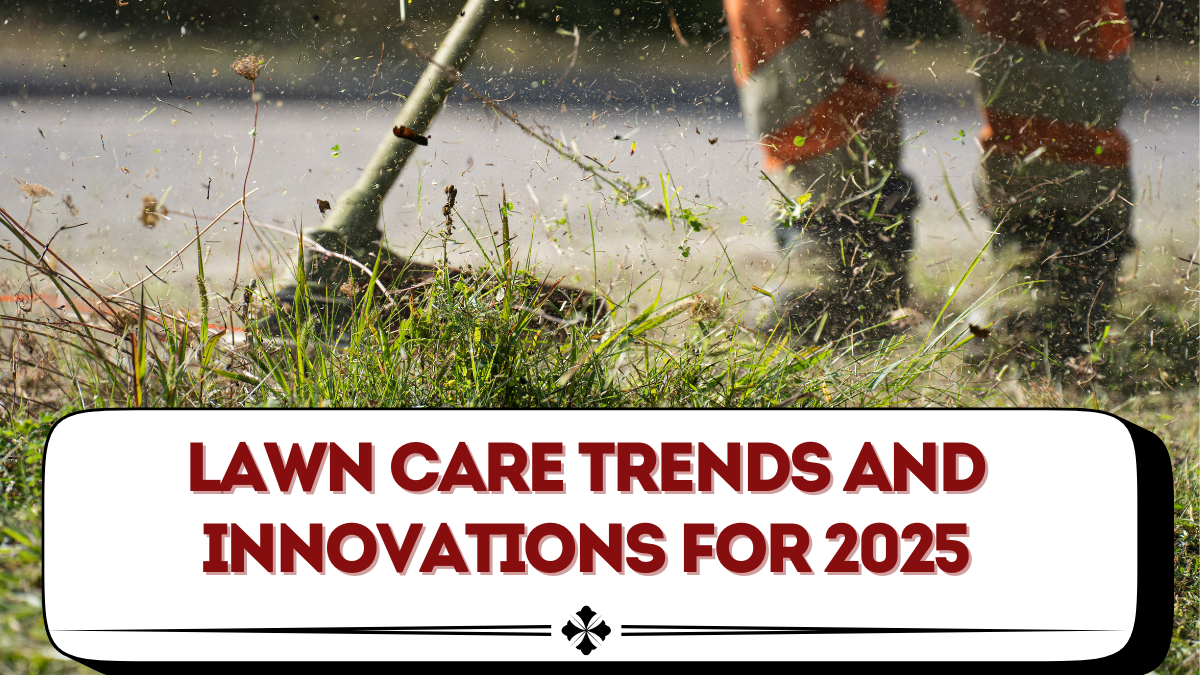 Lawn Care Trends and Innovations for 2025