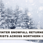 Shimla Winter Snowfall Returns Delight Tourists Across Northern India