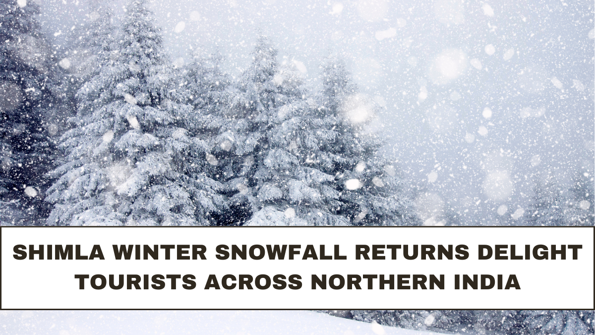 Shimla Winter Snowfall Returns Delight Tourists Across Northern India