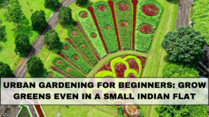 Urban Gardening for Beginners: Grow Greens Even in a Small Indian Flat