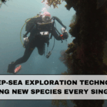 How Deep-Sea Exploration Technology Is Revealing New Species Every Single Year