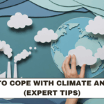 How to Cope With Climate Anxiety (Expert Tips)