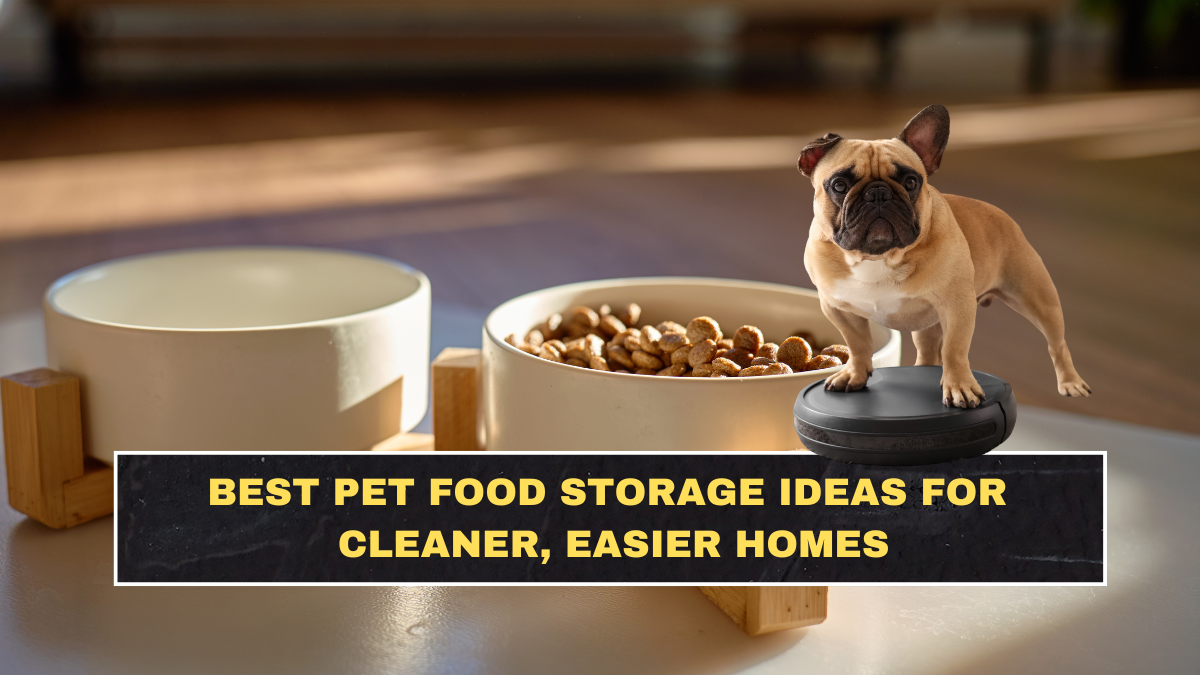 Best Pet Food Storage Ideas for Cleaner, Easier Homes
