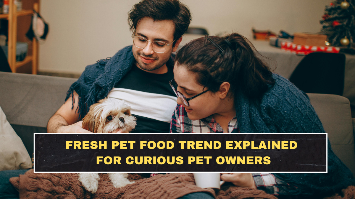Fresh Pet Food Trend Explained for Curious Pet Owners