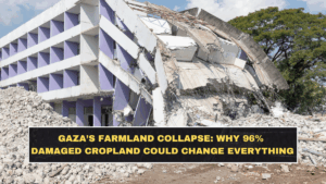 Gaza’s Farmland Collapse: Why 96% Damaged Cropland Could Change Everything