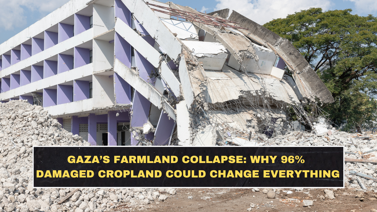 Gaza’s Farmland Collapse: Why 96% Damaged Cropland Could Change Everything