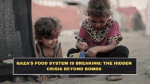 Gaza’s Food System Is Breaking: The Hidden Crisis Beyond Bombs