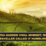 Assam Tea Garden Viral Moment: Why One Traveller Called It Humbling